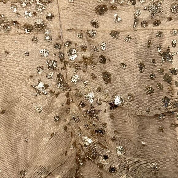 Endless Rose Sequins Mini Gold Nude Mini
Dress(Size XS) - Picture 8 of 9